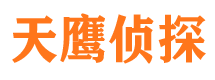 会东市侦探公司